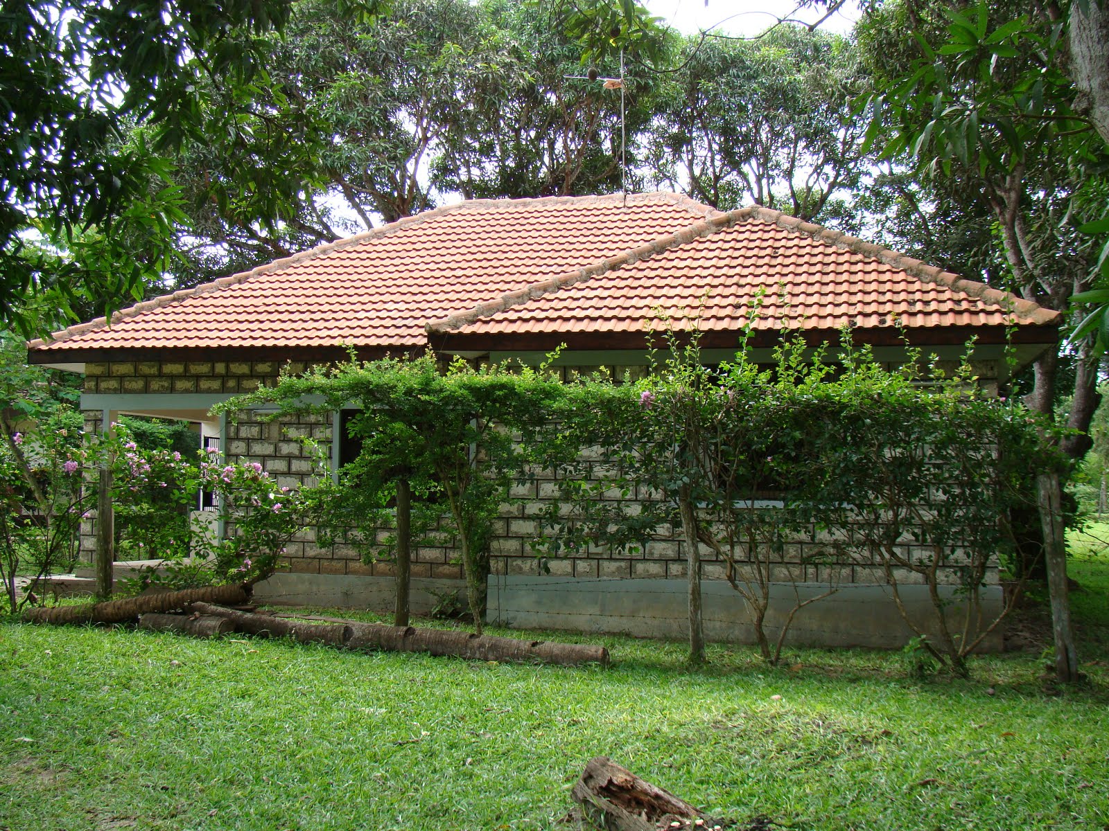bomani resort rear cottage