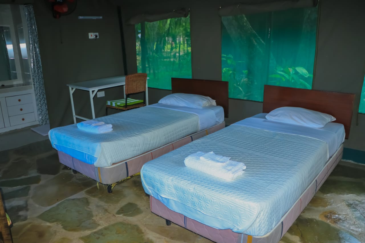 bomani resort twin bed tent