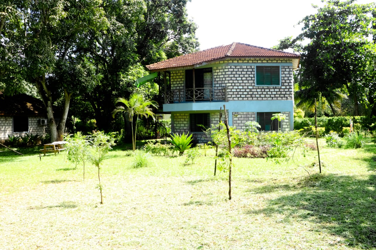 bomani resort cottages