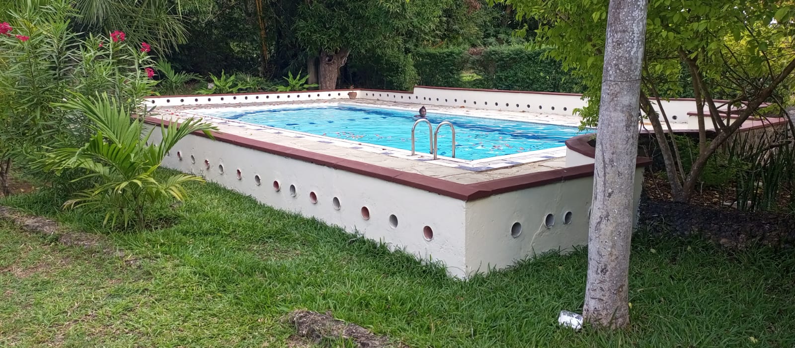 bomani resort swimming pool